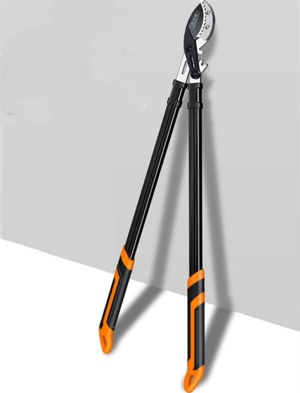f99daea0 bef1 4bce ab40 5e94af7a3db6.jpg